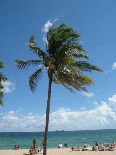Seaside Motel Fort Lauderdale Eksteriør billede